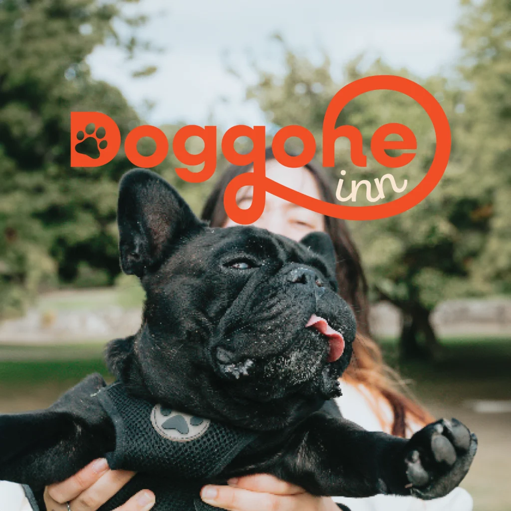 French bulldog being held up by their owner as a promotional image for the branding of the Doggone Inn.